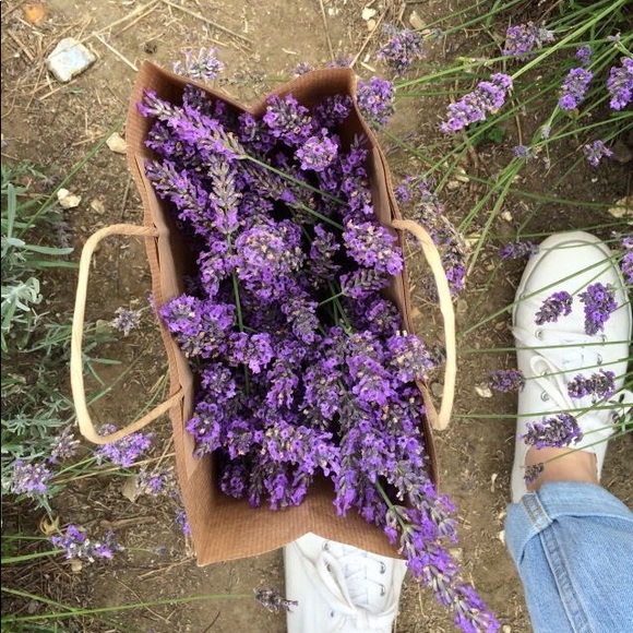 Meet your Posher - Picture 1 of 1